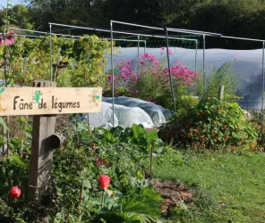 CDC Maine Saosnois - CN