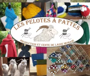 Les Pelotes à Pattes