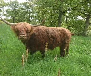 l'échappée sarthoise