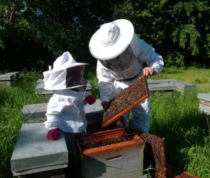 La miellerie de Maillezais