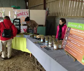 Communauté de communes du canton de Saint-Fulgent