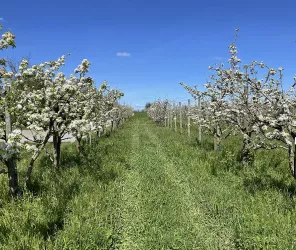 Tous droits réservés