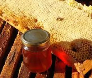 MIELLERIE DE GAILLARDON