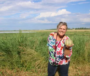 Tout droit réservé