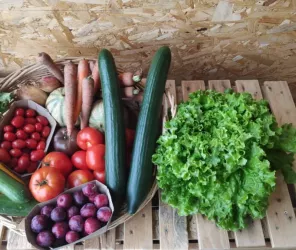 ©Jard'ins de Saint-Vincent