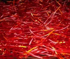 © Safran de la Futaie