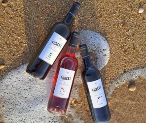 Domaine de la Grande Villeneuve