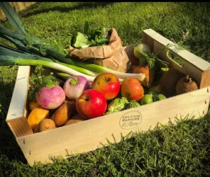 Copyright : Les p'tits paniers d'Alizée