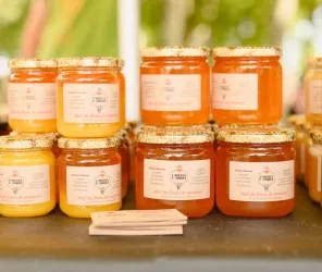 @AntoineTatinPhotographe