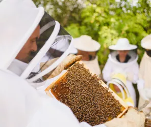 @AntoineTatinPhotographe