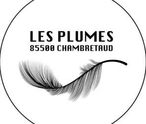 Les Plumes