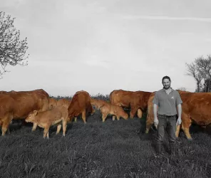 © Communauté de communes 