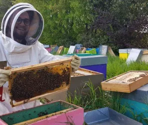 Couleur Abeille - Pierre Reichert