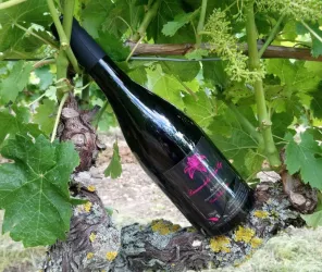 Domaine de la Fée du Lys