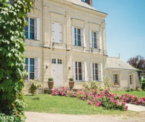 Amandine BRUNET - Libre de droit