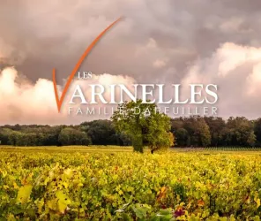 Kazin-Kreazim.com-2020