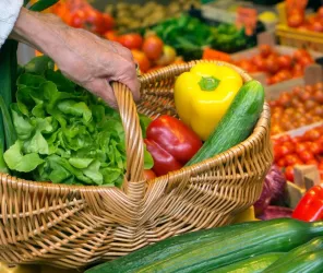 OT entre Brière et Canal