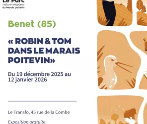 Parc Naturel Régional du Marais poitevin