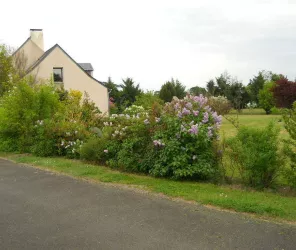 ©Le Clos devant le jeu