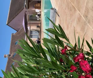 Aux Instants Partagés