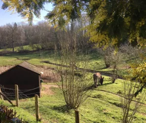 ©Terrasses de Chantarel