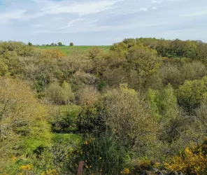 © Anais Bernaudeau (18)