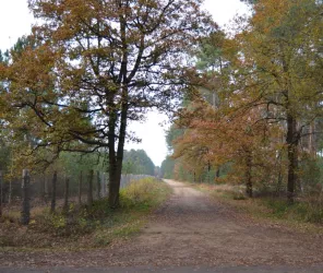 Communauté de communes de l'Orée de Bercé-Belinois