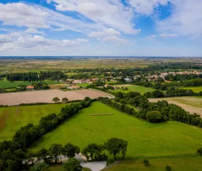 Le Photographe du Dimanche