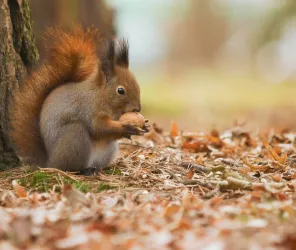 Wlodzimierz Jaworski - Unsplash