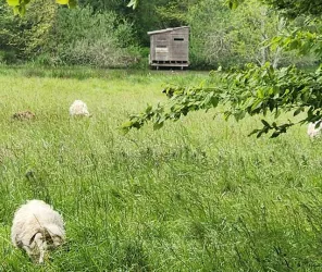 Communauté de Communes Châteaubriant Derval