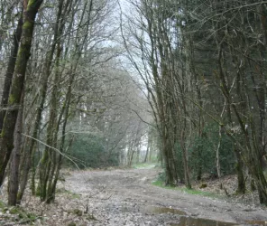 ©Alain GUICHARROUSSE