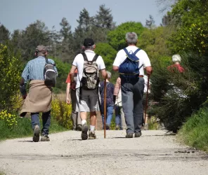 Loire & Sillon Tourisme