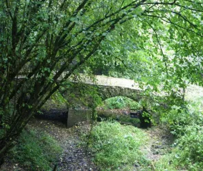 office de tourisme vignoble nantes