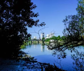 Patrick Garçon - Nantes Métropole