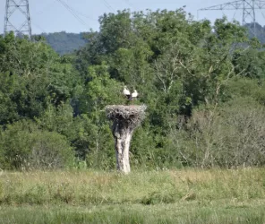 ©Estuaire et Sillon Tourisme