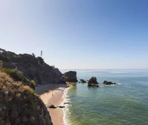 SNAT / Alexandre Lamoureux