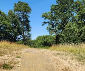 Communauté de Communes Châteaubriant-Derval