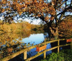 © ôsezMauges et D. Drouet