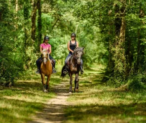 Collectif F4 - Vincent Dhetine