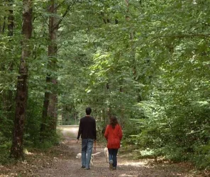 © Office de Tourisme Châteauneuf sur Sarthe