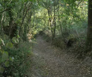 Claude Graton - CDRP 49