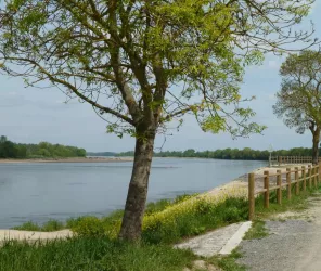 ©Mairie Rochefort/Loire