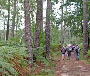 Yves POSTEC (CD Randonnée 49)