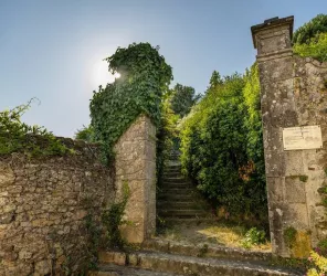 © Sebastien GAUDARD