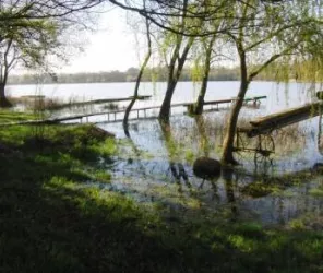 Département de Maine-et-Loire
