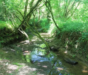 © Point d'informations touristiques de Chemillé-en-Anjou