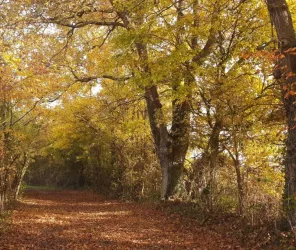Office de Tourisme de l'Anjou bleu - Florence DELEPINE