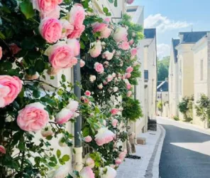 Aude Genevaise - SPL SVLT