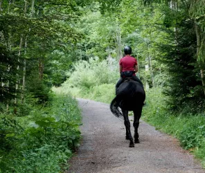 Beth Macdonald - Unsplash