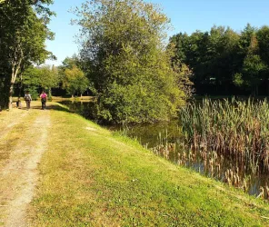 © CC Mont des Avaloirs